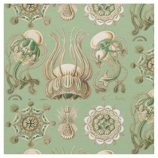 Ernst Haeckel's Narcomedusae Stof (Close Up)