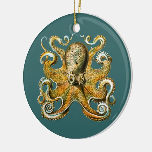 Ernst Haeckel's Octopus Keramisch Ornament (Links)