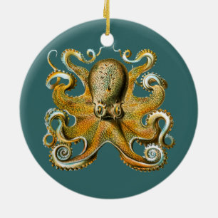 Ernst Haeckel's Octopus Keramisch Ornament