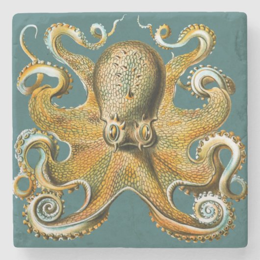Ernst Haeckel's Octopus Stenen Onderzetter (Voorkant)