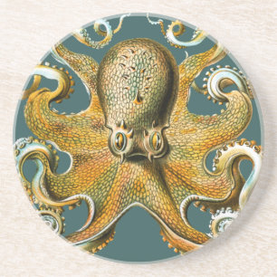 Ernst Haeckel's Octopus Zandsteen Onderzetter
