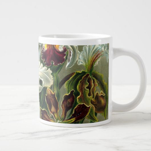 Ernst Haeckel's Orchidaceae Grote koffie-Mok Grote Koffiekop (Rechts)