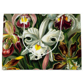 Ernst Haeckel's Orchidaceae Large Gift Bag Groot Cadeauzakje (Voorkant)