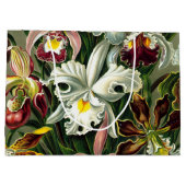 Ernst Haeckel's Orchidaceae Large Gift Bag Groot Cadeauzakje (Achterkant)