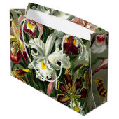 Ernst Haeckel's Orchidaceae Large Gift Bag Groot Cadeauzakje (Achterkant Gekanteld)