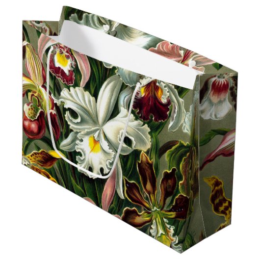Ernst Haeckel's Orchidaceae Large Gift Bag Groot Cadeauzakje (Voorkant Gekanteld)