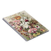 ErnstHaeckel Vintage Botanical Orchid Illustration Notitieboek (Rechterzijde)