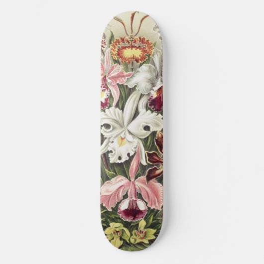 ErnstHaeckel Vintage Botanical Orchid Illustration Persoonlijk Skateboard (Voorkant)