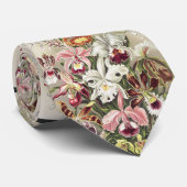 ErnstHaeckel Vintage Botanical Orchid Illustration Stropdas (Opgerold)