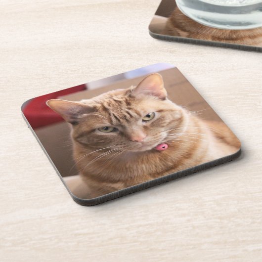 Ernstig Bier Onderzetter (Linkerzijde)