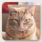 Ernstig Bier Onderzetter (Voorkant)