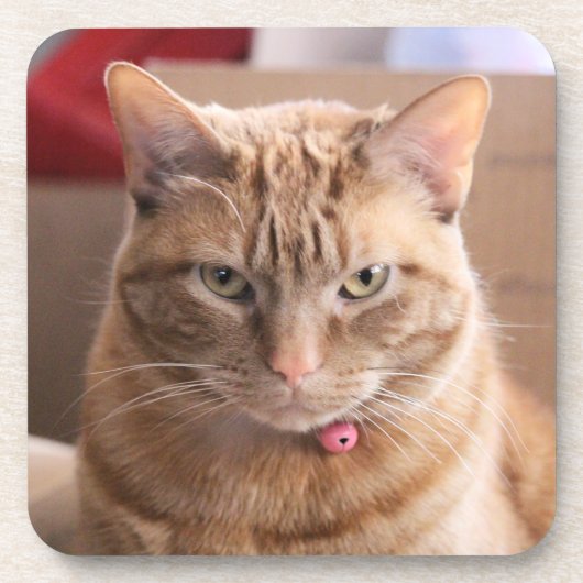 Ernstig Bier Onderzetter (Voorkant)