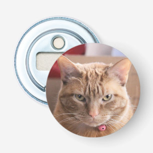 Ernstig Button Flesopener