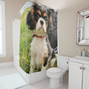 Ernstig Douchegordijn