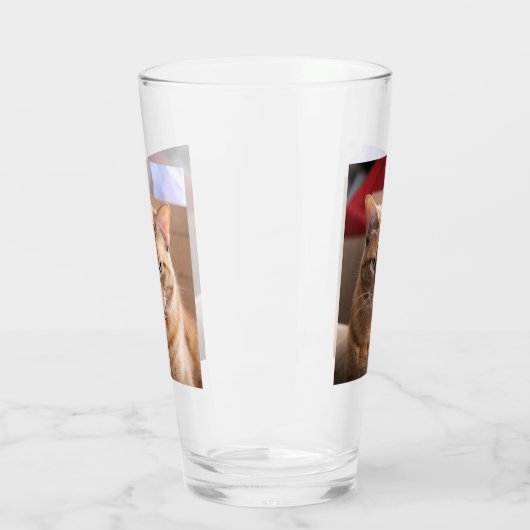 Ernstig Glas (Links)