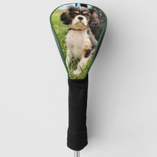 Ernstig Golfheadcover (Voorkant)