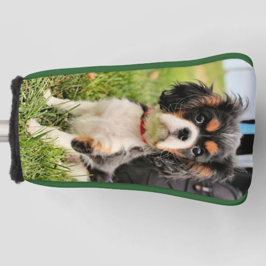 Ernstig Golfheadcover (Voorkant)