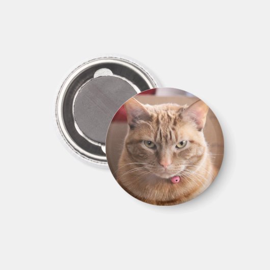 Ernstig Magneet (Voorkant / Achterkant)