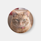 Ernstig Magneet (Voorkant)