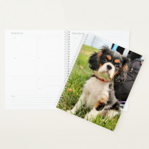Ernstig Planner