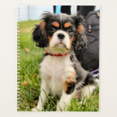 Ernstig Planner (Voorkant)