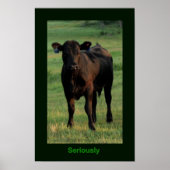 Ernstig Poster (Voorkant)