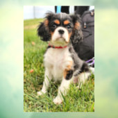 Ernstig Raamsticker (Vel 3)