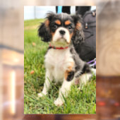 Ernstig Raamsticker (Vel 2)