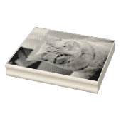 Ernstig Rubberstempel (Stempel)