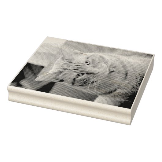 Ernstig Rubberstempel (Stempel)