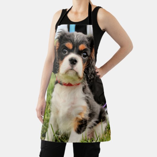 Ernstig Schort (Insitu)