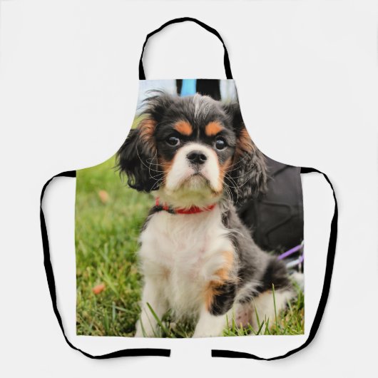 Ernstig Schort (Voorkant)