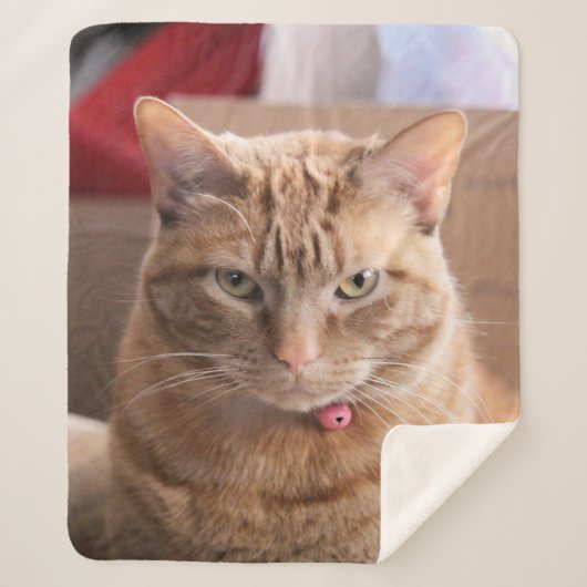 Ernstig Sherpa Deken (Voorkant)