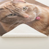 Ernstig Sherpa Deken (3/4)