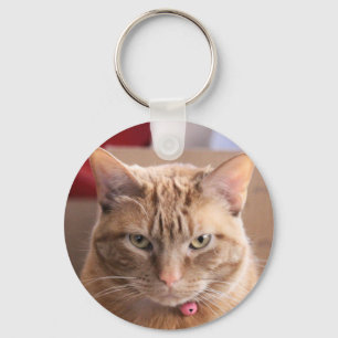 Ernstig Sleutelhanger