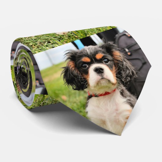 Ernstig Stropdas (Opgerold)