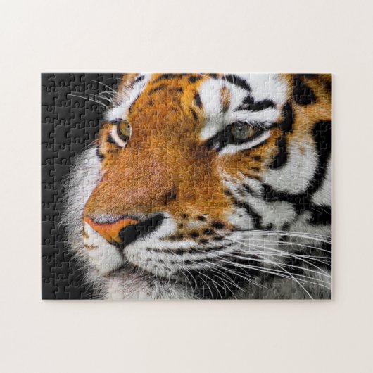 Ernstig tijgergezicht legpuzzel (Horizontaal)