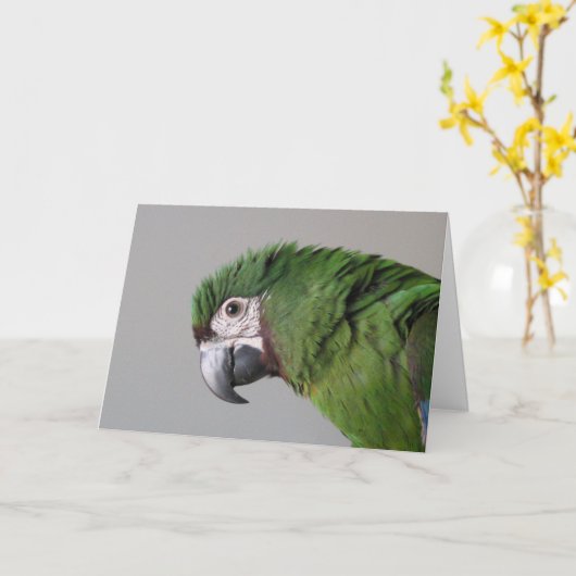 Ernstig Wenskaart van Macaw Kaart (Gele Bloem)