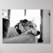 Ernstig zijoog. poster (Voorkant)