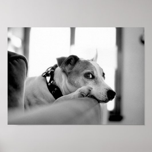 Ernstig zijoog. poster (Voorkant)