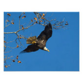 Ernstige bedrijfsvoering foto afdruk (Voorkant)