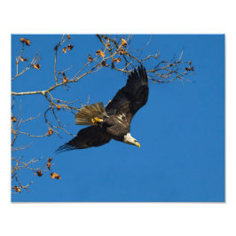 Ernstige bedrijfsvoering foto afdruk