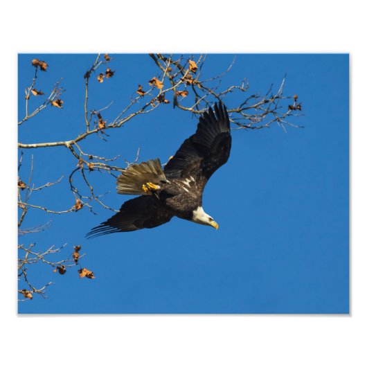 Ernstige bedrijfsvoering foto afdruk (Voorkant)