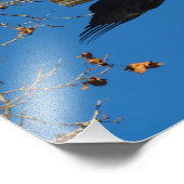 Ernstige bedrijfsvoering foto afdruk (Hoek)