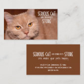 Ernstige kat en andere aanpasbare huisdieren visitekaartje (Voorkant / Achterkant)