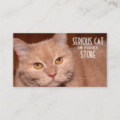 Ernstige kat en andere aanpasbare huisdieren visitekaartje (Voorkant)