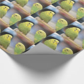 Ernstige keets cadeaupapier (Hoek)