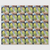 Ernstige keets cadeaupapier (Vlak)