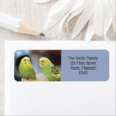 Ernstige keets etiket (Insitu)