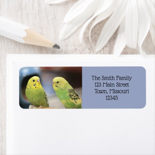 Ernstige keets etiket (Insitu)